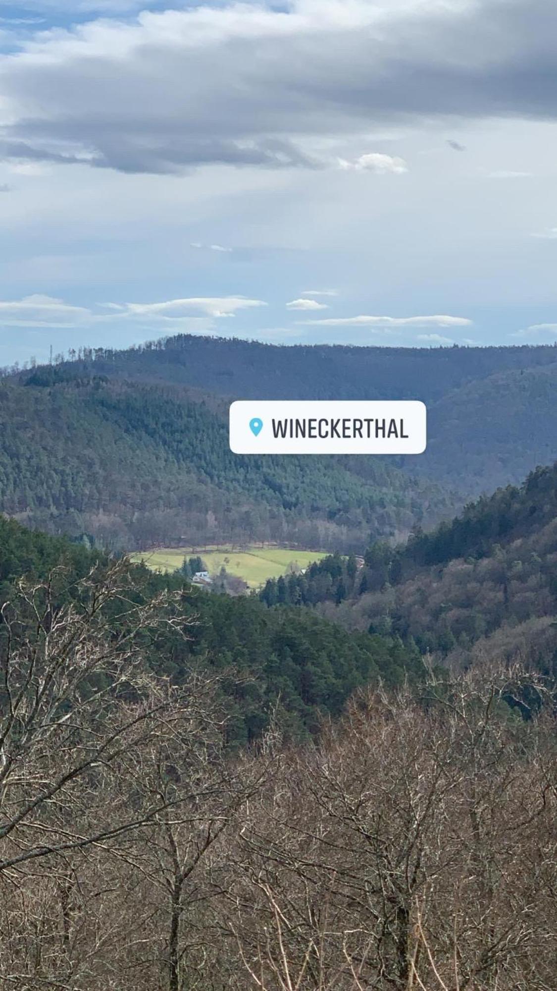 Vila Le Wineck Dambach Exteriér fotografie