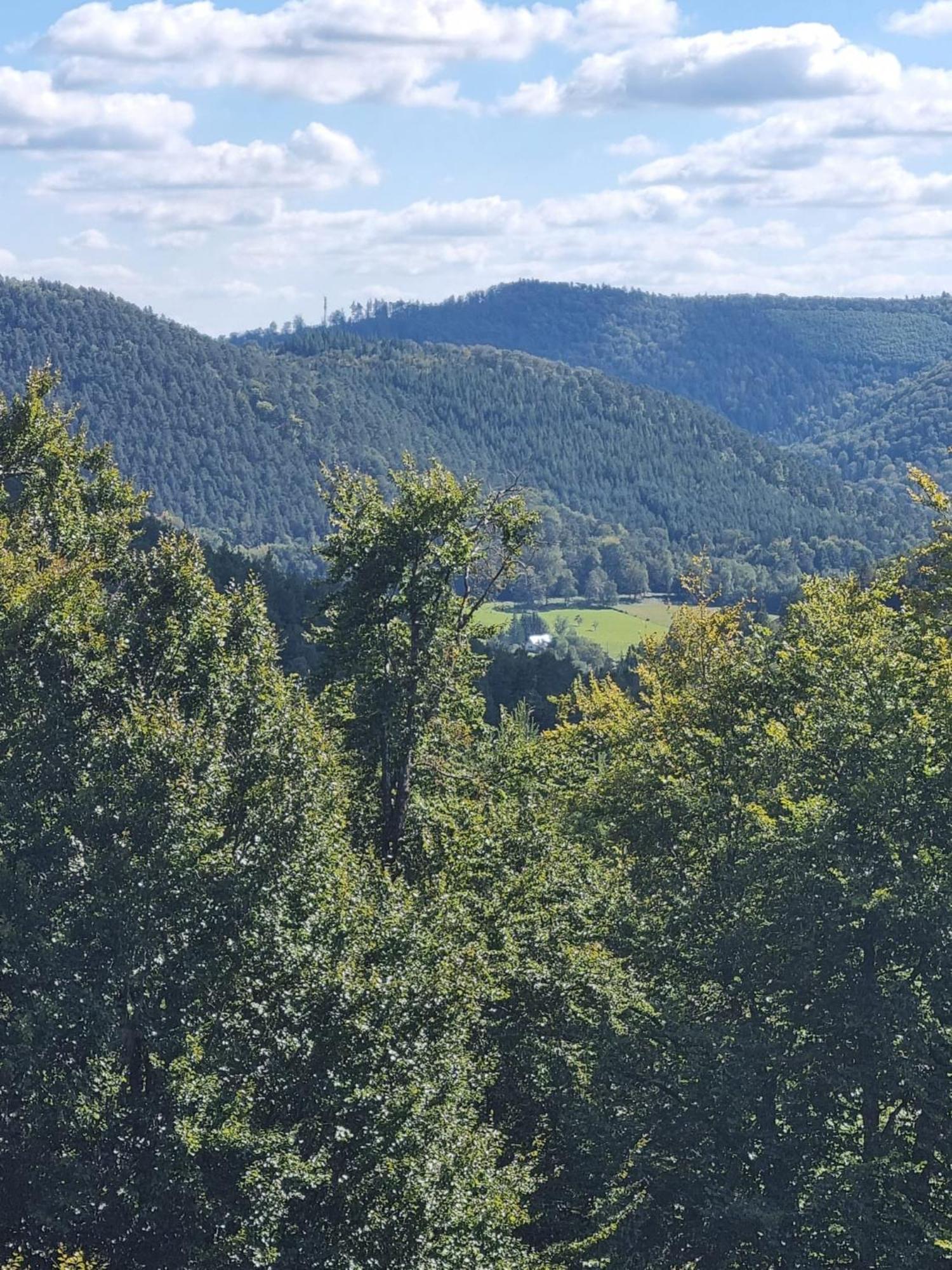 Vila Le Wineck Dambach Exteriér fotografie