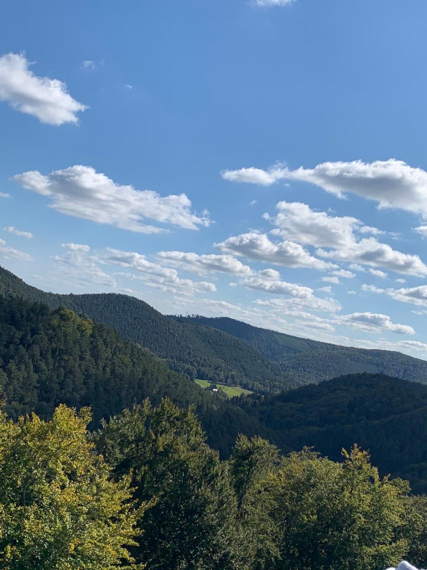 Vila Le Wineck Dambach Exteriér fotografie