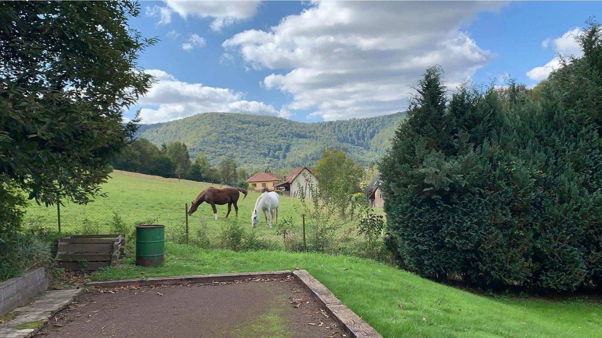Vila Le Wineck Dambach Exteriér fotografie