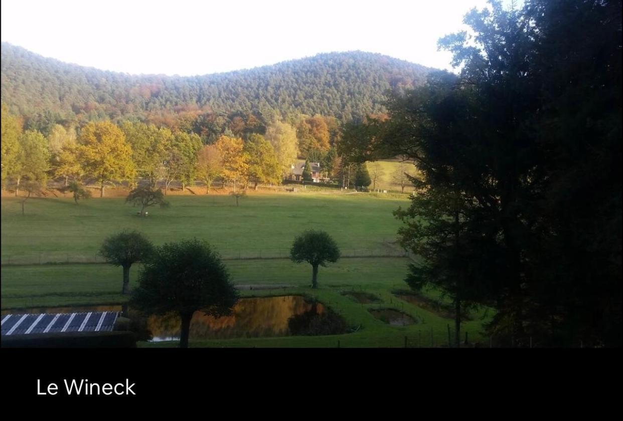 Vila Le Wineck Dambach Exteriér fotografie